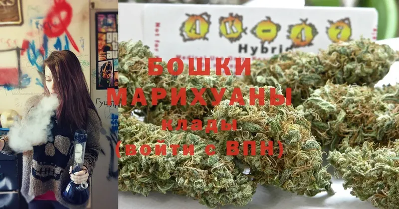 что такое   Рыльск  Бошки марихуана индика 